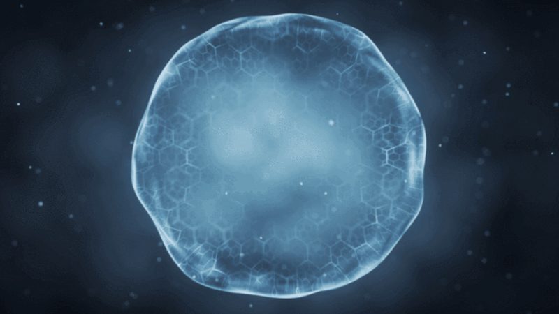基因治疗生物制品临床试验：报价背后的考量因素
