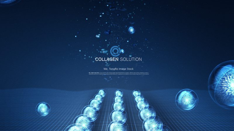 CDMO项目评估表格：评估关键要素与选型指南