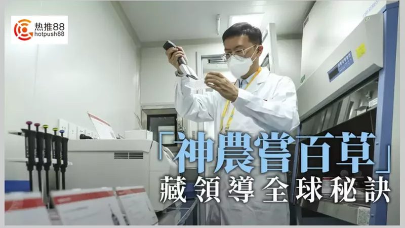 医用离心管：揭秘实验室中不可或缺的“隐形战士