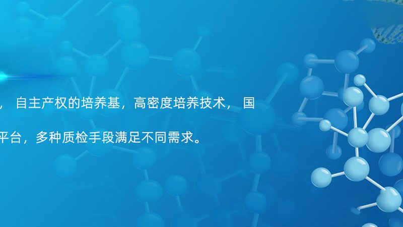 CDMO定制研发合同：揭秘合同要点与关键考量