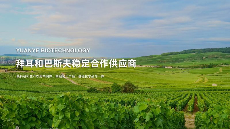 基因测序，解码生命奥秘的利器：揭秘十大品牌排名背后的科技力量