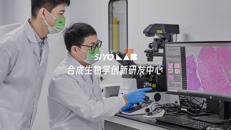 D细胞培养的必备设备：揭秘高效实验的关键**