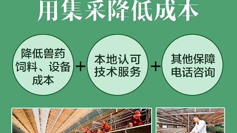 北京细胞工厂纯化技术咨询：揭秘细胞疗法纯化工艺的关键