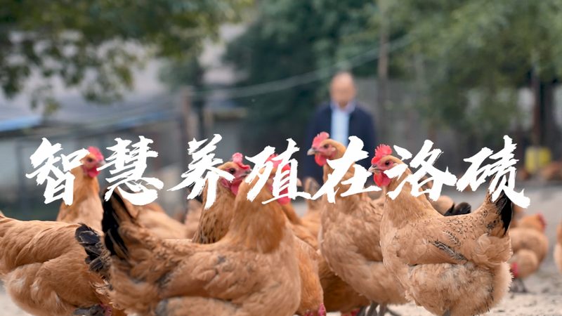 生物药CDMO原液生产：揭秘其背后的技术奥秘**