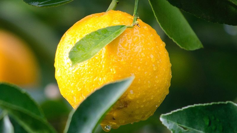 生物制品加盟：从资质门槛到运营能力的全链条拆解